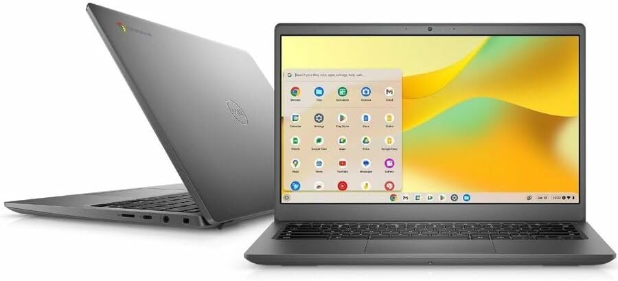 Dell 3445 Chromebook