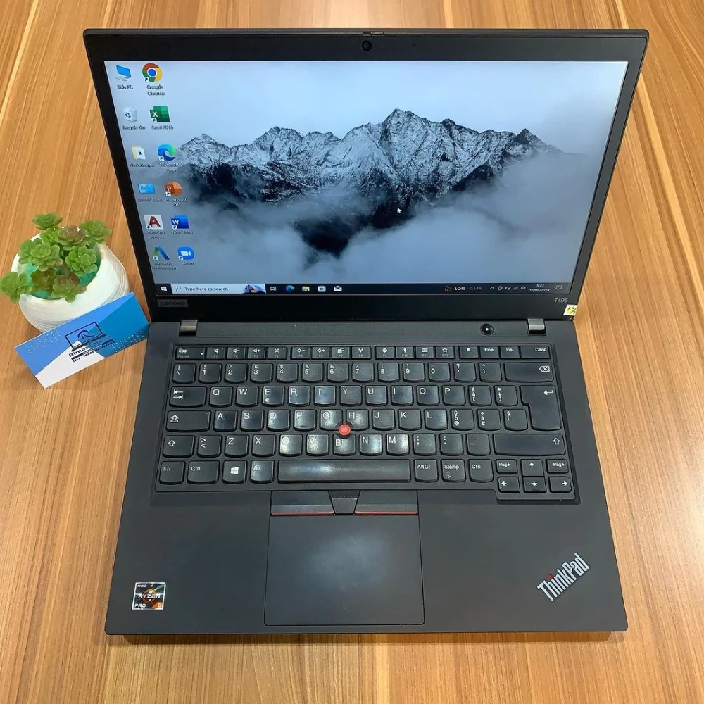 LENOVO THINKPAD T495