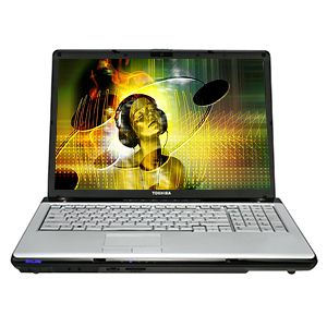 Toshiba Satellite P205-S8811