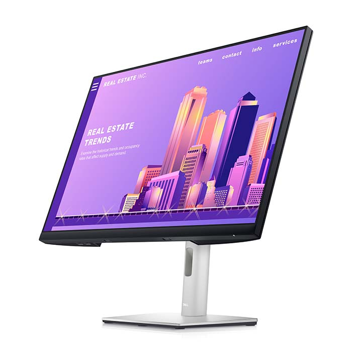 Dell Moniter P2422H