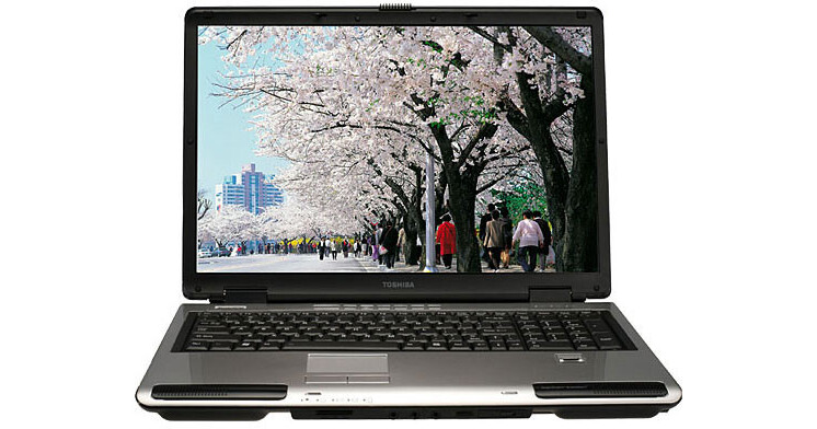 Toshiba Satellite P105-S6014