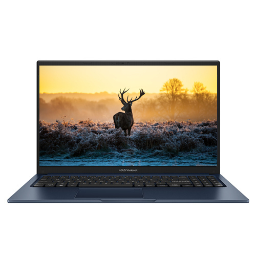 Asus VivoBook 15 (X1504)