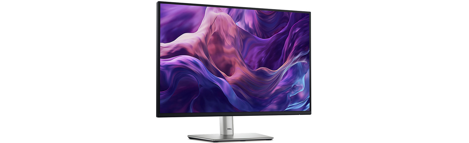 Dell Moniter P2425DE