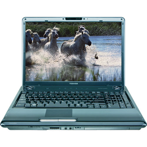Toshiba Satellite P305D-S8818