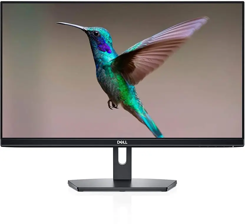 Dell Moniters SE2419HR